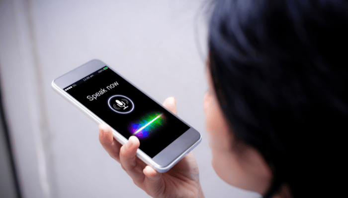 Voice Search Optimization